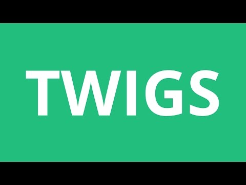 How To Pronounce Twigs - Pronunciation Academy