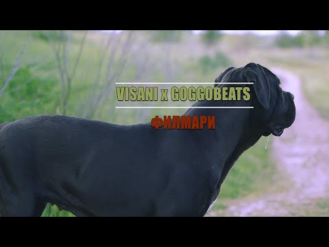 VISANI x GOGGOBEATS - Филмари [Official Music Video] 4K
