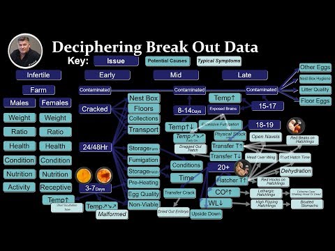 Deciphering Your Breakout Data