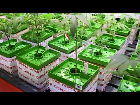 The Grower Circle Compound