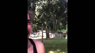 The belly of the bees part 2