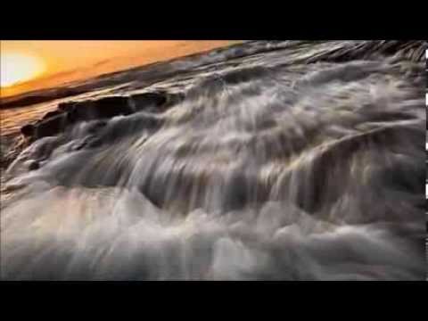 FREE FLY 2 (aLIVE A.lednev)