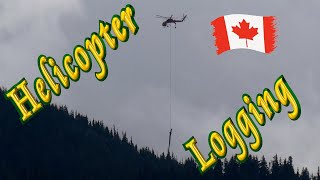 🚁 Heli-logging (Canada) 🌲