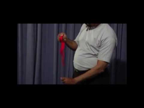 Silk To Flower by Uday