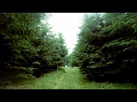 Štěkeň a okolí 2021