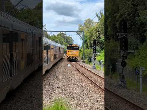 Freight train through Penshurst Pacific National 8238 8238 8242 & 8244 head 5936 from Werris creek