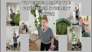 Watch As I Save The Cucumber &Celery Tower~ Full Day In The Grow Room #towergarden #verticalfarming