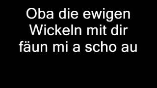 Wolfgang Ambros - Des kannst net mach'n (Lyrics)