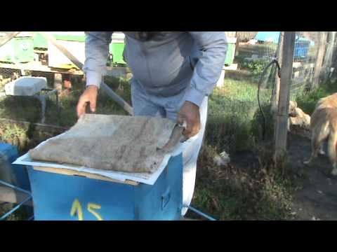 Impachetarea pentru iernat a familiilor de albine