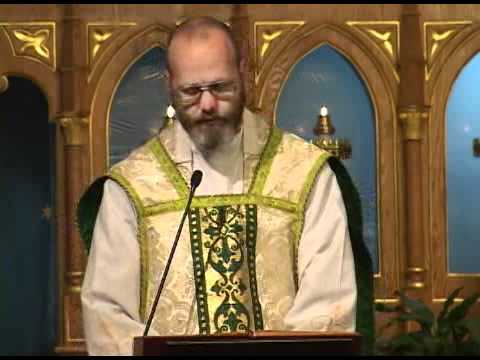 Nov 29 - Homily - Fr Dominic: All Saints of the Franciscan Order