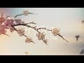 【COVER】Tulus - Hati-Hati di Jalan / Bladabub