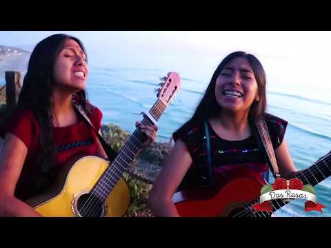 download lagu mp3 mp4 Las Dos Rosas, download lagu Las Dos Rosas gratis, unduh video klip Las Dos Rosas