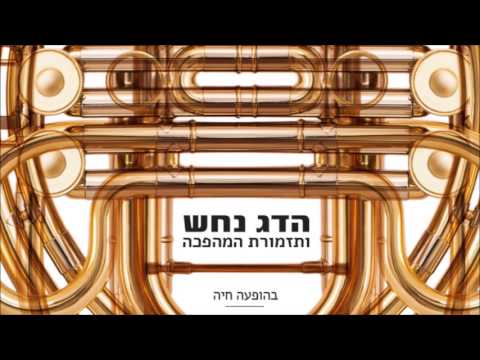 הדג נחש ותזמורת המהפכה - בהופעה - אלבום מלא // Hadag Nahash & Revolution Orchestra - Live - Album