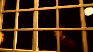 1000 Heads Among the Trees 7