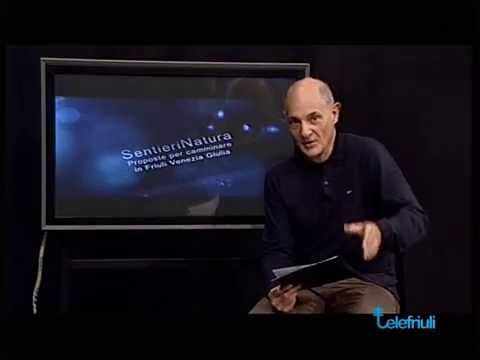 Intervento di Ernesto Not - SentieriNatura 2014 - 10