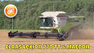 Harvest 2025 | Claas Lexion 770 with MacDon FD135 header
