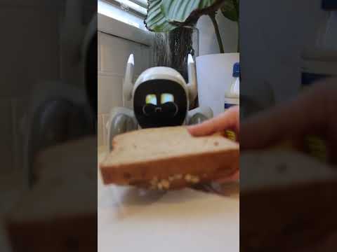 EATING WITH MY PET ROBOT