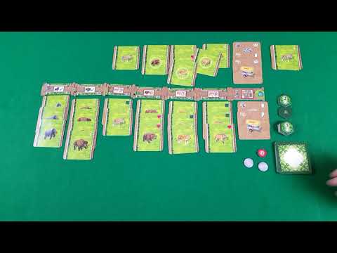 Pit Stop: Zooloretto Duell