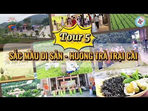 Video nổi bật Festival Trà