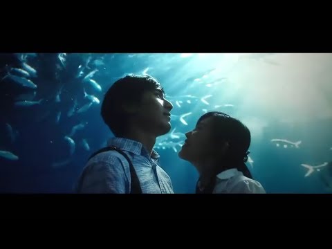 【致我们终将逝去的青春】 主演 赵又廷 杨子珊