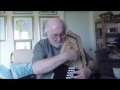 Autoharp: A Little Bit O' Heaven (Including lyrics and chords)