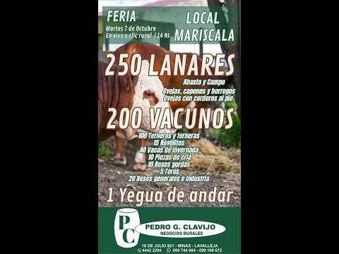 7/10/2025 Feria Mensual - Local Mariscala - Lavalleja - Pedro G. Clavijo