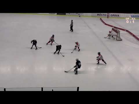 HC Slezan Opava - AZ Residomo Havířov _11.1.2020_ročník 2010_Team B