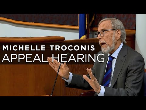 CT v Michelle Troconis - Attorney Andrew Bowman Testifies - Appeal Hearing