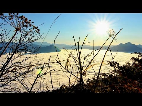 Medito rreth Krijimit te Zotit.