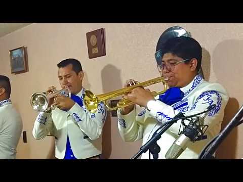 Mariachi Juvenil Alazán - Camino de Guanajuato (José Alfredo Jiménez)