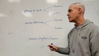 The Spinal Curvatures (normal and abnormal) of the Body