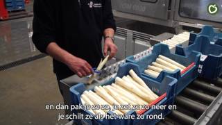 Aspergeteler van La Place - Walter Gubbels #3