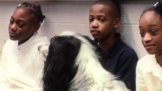 Canine Compassion:  Wayside Waif's "No More Bullies!" in the Classroom