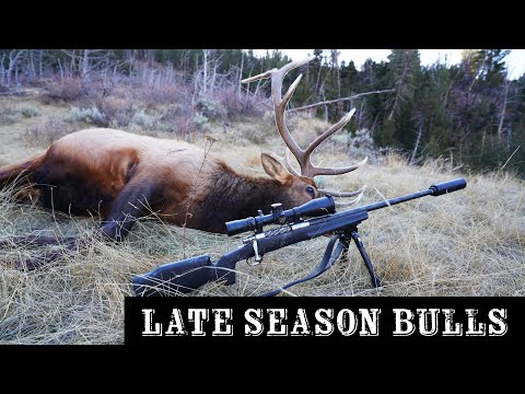 Late Season Bull Elk Hunting (Two Bulls Down) S4:Ep4