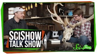 SciShow Talk Show: Animal Weapons with Doug Emlen & A Southern Three-Banded Armadillo