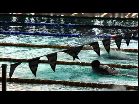 FINAL 200 FARFALLA CAMP.REG.