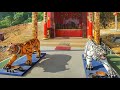 4 New Highest Temples On Mount Passy Singkawang 7 Minutes Xplorer The Beauty Of Mount Passy 2025