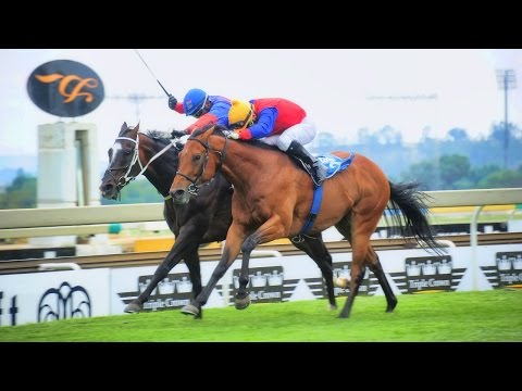 Hawaii Stakes (Grade 2) 2015