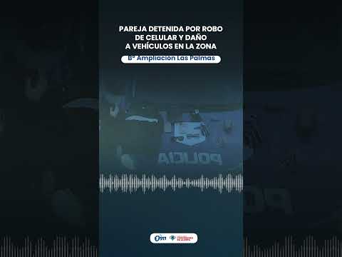 B° Ampliación Las Palmas 🚨 Pareja detenida por robo de celular y daño a vehículos en la zona