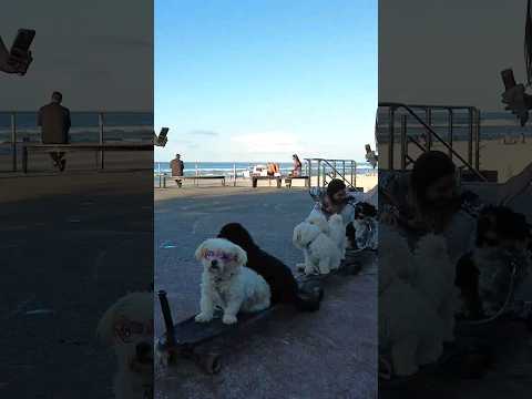 Explore Burleigh Heads Sunday 12 May 2024  #4kwalk #goldcoast #australia