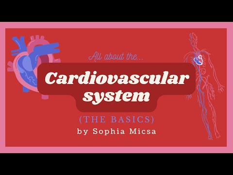The Cardiovascular System Made Easy