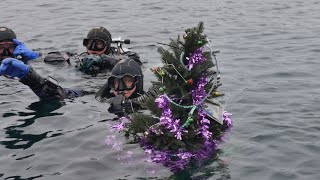 В Днепре дайверы установили новогоднюю елку на дне озера