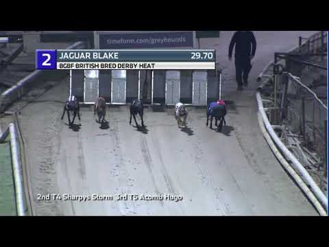 2020 BGBF BRITISH BRED DERBY - HEAT 1 - T2 JAGUAR BLAKE