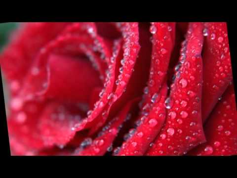 Maranata Oradea - Un cântec ca roua