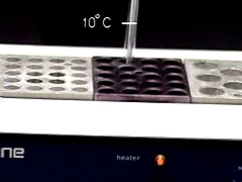 Gentechnologie Videos für Medizinstudierende3