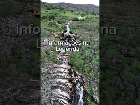 Conhece Milho Verde?