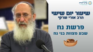 פרשת נח | שבע מצוות בני נח