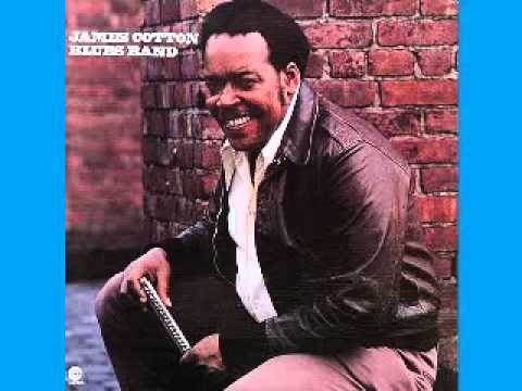 James Cotton - Band Taking Care Of Business - 1994 - Long Didstance Operator - Dimitris Greece