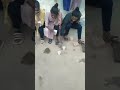 New Santhali Videos Chapri Kuri Kora Videos Instagram Reels Videos