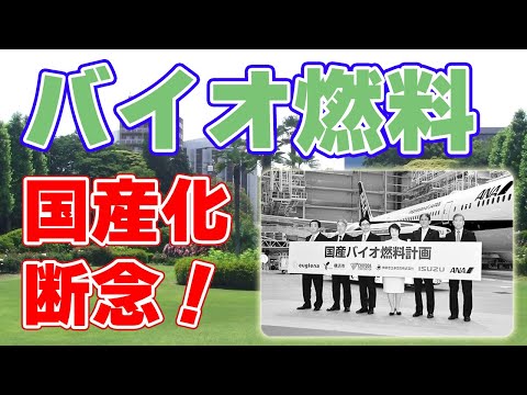 バイオ燃料はディーゼルよりも気候に有害ですか?